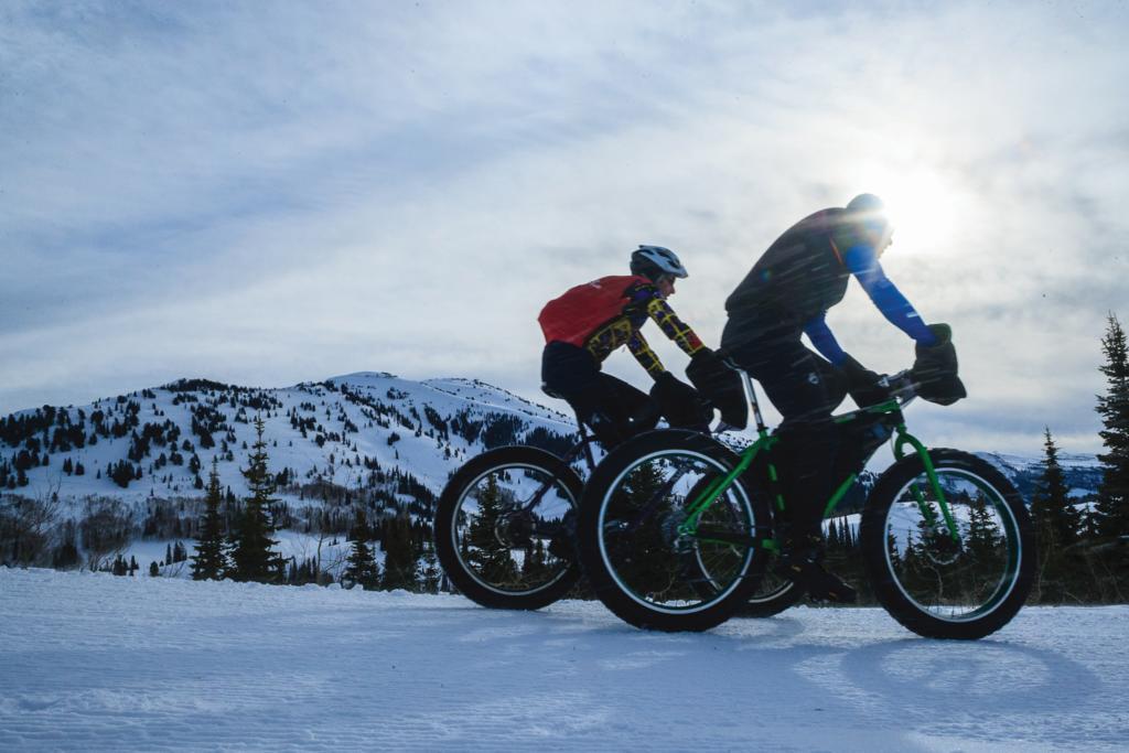 Teewinot Lodge By Grand Targhee Resort Alta المظهر الخارجي الصورة