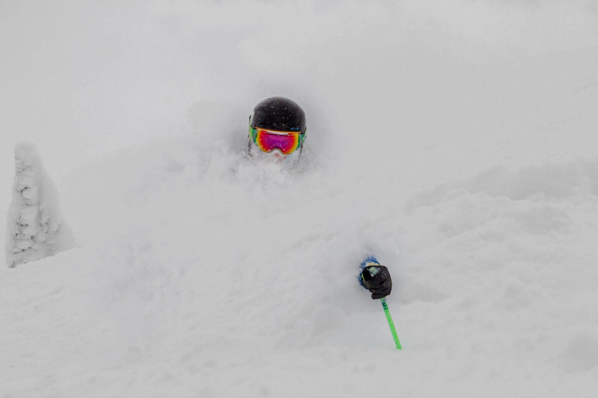 Teewinot Lodge By Grand Targhee Resort Alta المظهر الخارجي الصورة